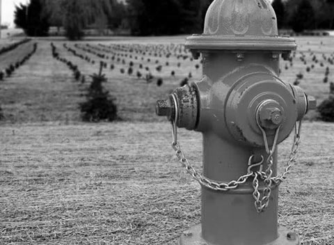 ddos攻击防御手段